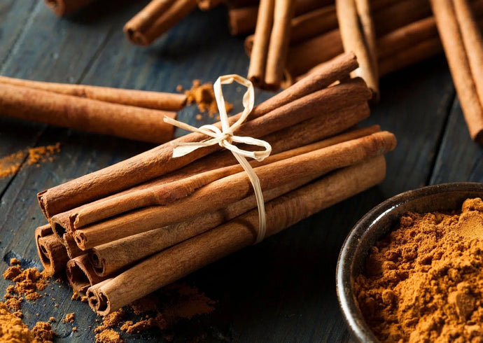 Origin of cinnamon: The history and cultural significance of cinnamon from Sri Lanka